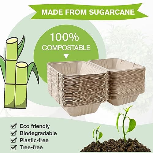 ECOLipak 75 Pack Clamshell Take Out Food Containers, 100% Compostable To Go Containers Disposable, 9X6 inch Heavy-Duty To Go Boxes, Eco-Friendly Biodegradable To Go Containers For Food - Thumbnail 4