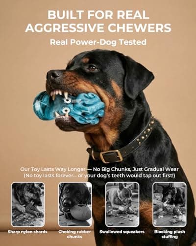 ChienBox Dog Toys for Aggressive Chewers: 3 Pack Tough Chew Toys for Medium Large Dogs, Bacon Flavored Indestructible Dog Toy, Heavy Duty Nylon Chew Bone Dog Toys to Keep Them Busy 20-90 lbs - Thumbnail 3