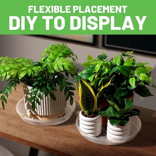 MUDEELA 6 Pack of 12 Inches Plant Saucers for Indoor, Durable Plastic Round Plant Tray Plant Dish Pant Plate to Catch Water for Flower and Plant Pot, Thicker, Stronger, Deeper, Clear - Thumbnail 5
