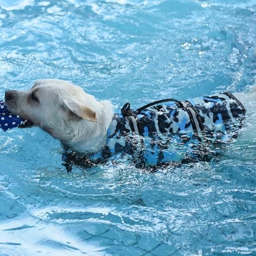 Doglay Dog Life Jacket, Dog Life Vest for Swimming Boating, Adjustable Puppy Life Jacket with Reflective Stripes, Superior Buoyancy Dog Swimming Vest for Small Medium and Large Dogs - Thumbnail 4