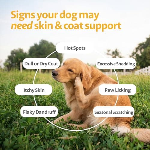 Ayourpets Dog Allergy Chews for Itchy Skin, Hot Spots, Paw Licking & Itchy Ears – Ayurvedic Herbal Omega-3 Anti Itch Support with Turmeric & Shatavari – Fish Flavor – 90 Count - Thumbnail 4