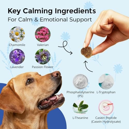 PrimePaw Calming Chews for Dogs L-Theanine L-Tryptophan Phosphatidylserine Valerian Chamomile Passion Flower Non-Sedating Relaxation Support All Breeds Puppy Adult Senior Chicken Flavor 120 Soft Chews - Thumbnail 4