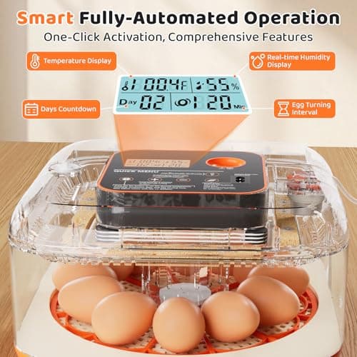 Incubators for Hatching Eggs 12 Egg Digital Egg Incubator Precision Auto Temp Humidity Control 6 Gear Adjustable Auto Turner Auto Stop Turning Hatching Days Display for Chicken Duck Goose Eggs - Thumbnail 3