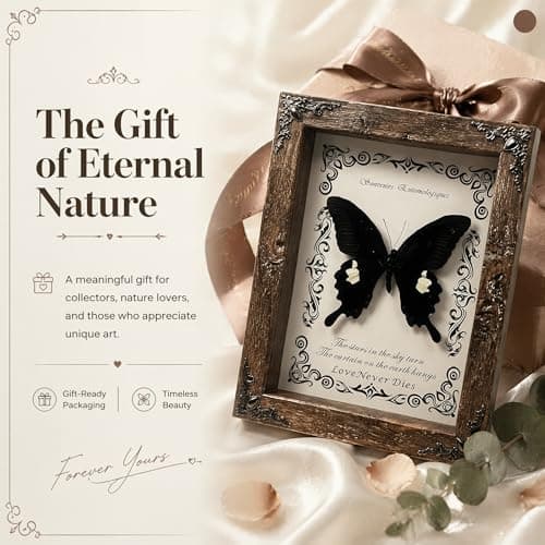 Wugakio Real Butterfly Framed - Hanging wood grain photo frame, Taxidermy Animals for Oddities and Curiosities Gifts (Jade spotted butterfly - Wood Grain Photo Frame) - Thumbnail 2