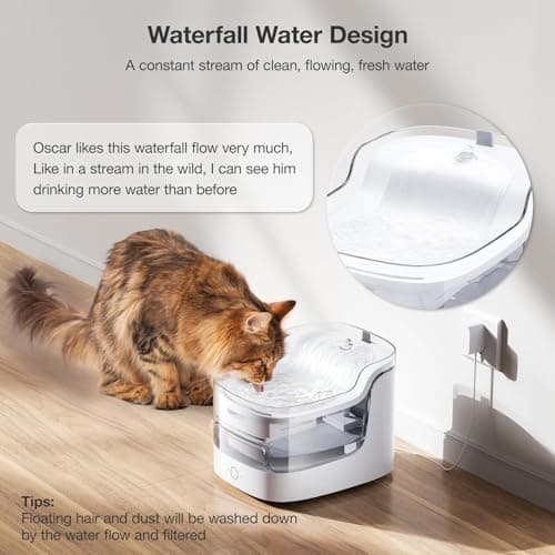 PETGUGU AI Cat Water Fountain with App Monitoring, Ultra-Quiet Automatic Pet Water Dispenser, Wireless Pump, 8-Layer Filtration BPA-Free, WiFi Cat Drinking Fountain for Cats and Dogs (2.4G Only) - Thumbnail 6