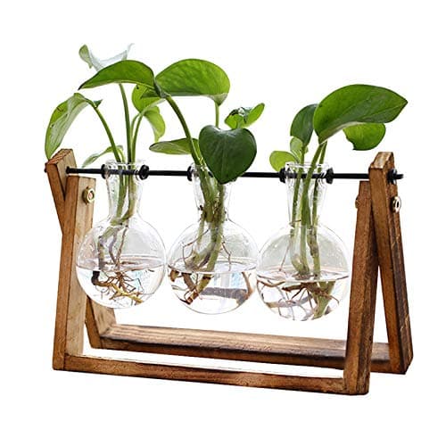 XXXFLOWER Plant Terrarium with Wooden Stand, Air Planter Bulb Glass Vase Metal Swivel Holder Retro Tabletop for Hydroponics Home Garden Office Decoration - 3 Bulb Vase - Image 1