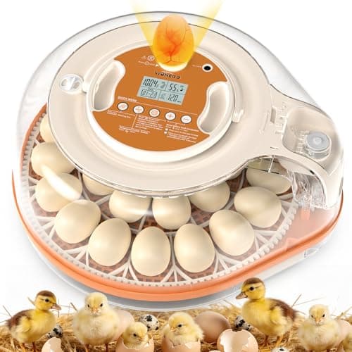Incubators for Hatching Eggs, 26 Eggs Incubator with Automatic Egg Turning, Temperature & Humidity Control, Auto Water Refill, LED Egg Candler, Hatch Days Setting, for Chicken, Duck, Goose, Bird Eggs - Image 1