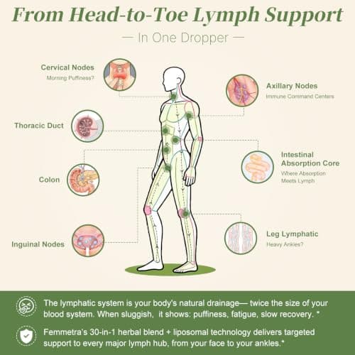 Femmetra Liposomal Lymphatic Drainage Supplements with 30-in-1 Herbal Blend - Thumbnail 5