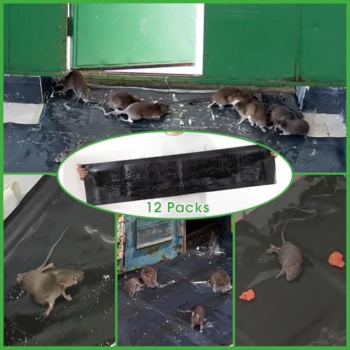 Kittmip 12 Pack 47 x 11 Mouse Glue Traps, Large Super Sticky Rat Glue Traps, Anti Slip and Pet Friendly, Peanut Scented Mice Sticky Board That Work for Home Indoor Outdoor Restaurant Kitchen Office - Thumbnail 5