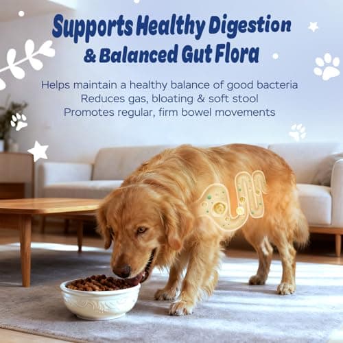 Xiderdl Dog Probiotic Soft Chews – 6-Strain Blend for Digestive & Immune Health – Supports Gut Balance, Reduces Gas, Tasty Daily Treat for Dogs-120 Count - Thumbnail 2