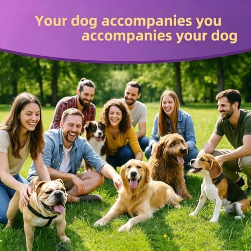 Dog Probiotic Chewable Tablets with Prebiotic & Digestive Enzymes, Daily Gut Support Supplement for All Breed Dogs, Chicken Flavor 90 Count - Thumbnail 6