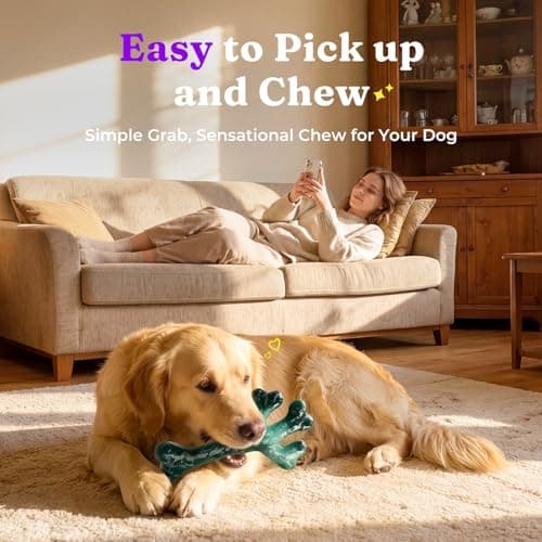Frienhund 2 Pack Indestructible Dog Chew Toys for Aggressive Chewers - XL Textured Cactus with Grooves for Peanut Butter & Yogurt, Beef Nylon Bones for Large Dogs 20-90 lbs, Easy Chew & Long Lasting - Thumbnail 4