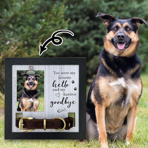 Eadabok Pet Memorial Frame with Collar Holder, Pet Picture Frame Memorial Gifts for Loss of Dogs, with 2 Pcs Dog Urns Keychain for Ashes - Thumbnail 3