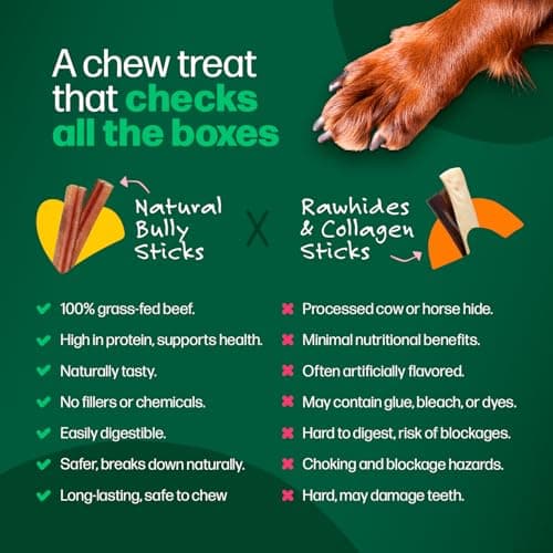 Willow&I Bully Sticks for Dogs -12 Inch Natural Bully Sticks for Medium, Large & Small Dogs- Premium 100% Grass Fed, Single Ingredient, Long Lasting, High Protein, Odor Free (12", 5 Pack) - Thumbnail 4