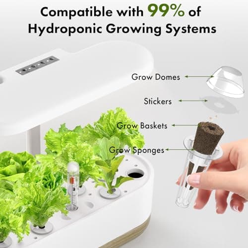 LYKO Low-Calorie Salad Seed Pods for AeroGarden, Ahopegarden, iDOO Hydroponics Growing System, 350 Seeds+ Including American Fast Lettuce, Buttercrunch Lettuce, Red Tomato, Golden Tomato (12-Pods) - Thumbnail 6