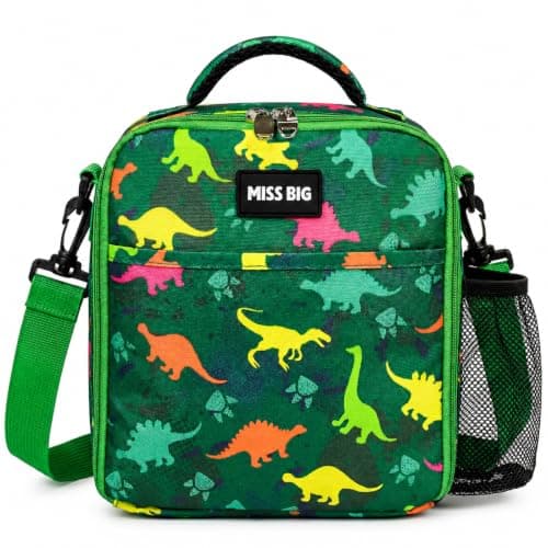 MISS BIG Dinosaur Kids Lunch Bag for Boys, Insulated School Lunch Bag, 5L