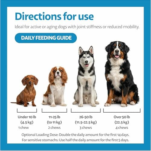 Ayourpets Hip and Joint Supplement for Dogs with Stiff Joints, Arthritis & Mobility – Natural Boswellia, Ashwagandha & Turmeric Herbal Holistic Support – Pork Flavor – 90 Count - Thumbnail 5