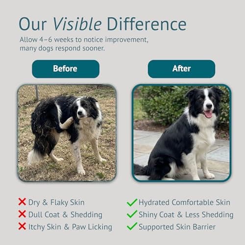 VetsLeaf Dog Skin & Coat Chews for Itchy Skin, Paw Licking & Dry Skin Allergy Relief - Omega-3 Fish Oil, EPA & DHA, Biotin, Vitamin A & D3 - Anti Itch Skin Support - Made in USA - 60 Count - Thumbnail 5