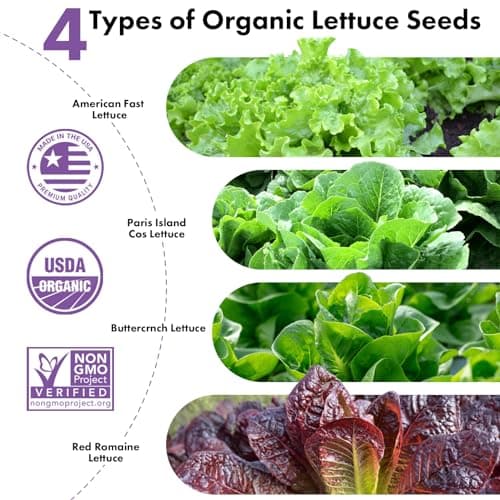 LYKOCLEAN Salad Romaine Lettuce Pods for AeroGarden, Ahopegarden, iDOO Hydroponics Growing System, 350 Seeds+ Including American Fast Lettuce, Paris Island Cos Lettuce, Buttercrunch Lettuce(7-Pods) - Thumbnail 2
