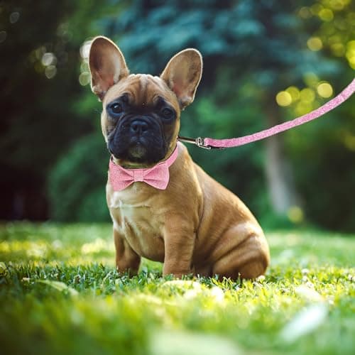 Jumpress Bling Bow Tie Dog Collar and Leash Set, Cute Pink Girl Dog Collar with 5ft Leash for Small Medium Dogs Daily Walking or Holiday Party (Neck fit 11-16’’) - Thumbnail 4