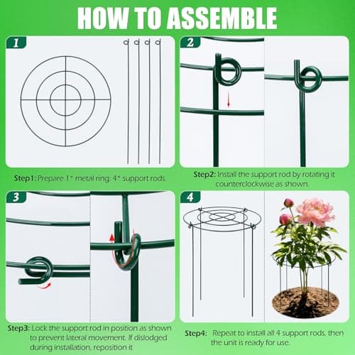 Peony Cages and Supports 8 Pack, 11.5 x 20 Inch Heavy Duty Plant Support Cage Set for Peonies, Roses & Tomatoes – Garden Stakes & Plant Cages for Outdoor Plants (8 Pack, 11.5 x 20 Inch) - Thumbnail 4