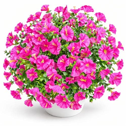 ENXWEI Artificial Flowers, 8 Bundles Faux Silk Pansies, Multi-Color, Weather Resistant, for Outdoor Decoration (Colour mixing-06) - Image 1