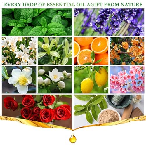 Essential Oils Set, 12 Scents, 10 ML Bottles, Lavender, Lemon, Rose, Jasmine, Vanilla, Sandalwood and More, for Humidifiers, Diffusers, Aromatherapy - Thumbnail 3