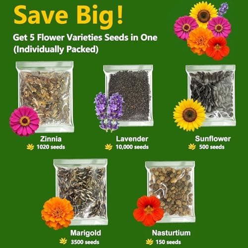 LUOJIBIE 5 Varieties Flower Seeds in Individual Packs, Includes Zinnia, Lavender, Sunflower, Marigold Nasturtium, 15,000+ High Germination Non-GMO Seeds for Planting Indoor Outdoor, Open Pollinated - Thumbnail 2
