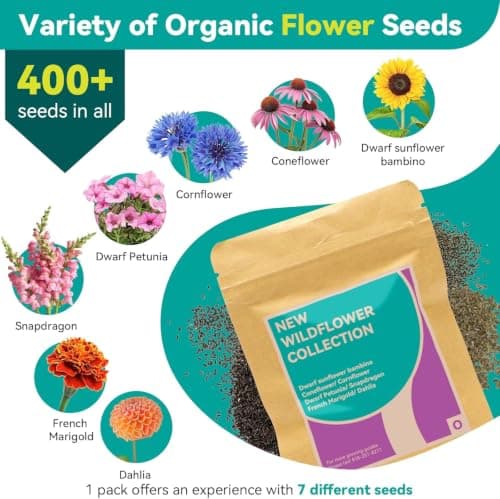 Flower Seed Pods for Aerogarden, iDOO, MUFGA Hydroponics Growing System Indoor Gardening, 400+ Seeds, Include Snapdragon, French Marigold, Dahlia, Dwarf Petunia(7-Pods) - Thumbnail 4