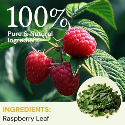 Raspberry Leaf Tea - 40 Teabags, Naturally Caffeine-Free, Mild & Herbal Taste - Thumbnail 2