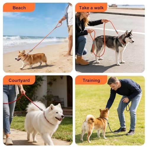 5FT Nylon Waterproof Dog Leash, Durable Strong Odor-Proof Dog Leashes with Zinc Alloy Clip, Walking, Beach, Yard, Swimming, Training Leash for Small, Medium & Large Dogs Blue - Thumbnail 6