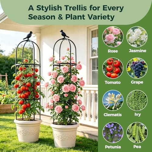 1pcs Garden Obelisk Trellis for Climbing Plants Outdoor, Tomato Cages for Garden, Metal Rustproof Plant Support Trellis for Potted Plants, Rose, Vine, Vegetable, Flower for Outdoor & Indoor Use - Thumbnail 5