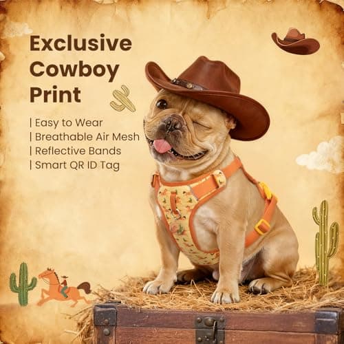 Escape Proof Western Cowboy No Pull Dog Harness, Soft Air Mesh Vest with Front & Back Clips, Adjustable Fit, Includes QR ID Tag for Safe Walking & Running, Orange, Small - Thumbnail 2