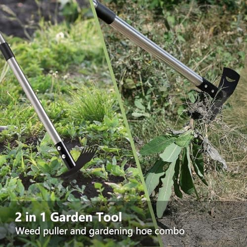Mitclear Weed Puller Tool with Long Handle(58IN), 2-in-1 Gardening Hand Tools Weeds Remover, Weeder Rake & Garden Hoe Combo, Manual Weeding Puller Tool for Garden Yard Patio Lawn - Thumbnail 2