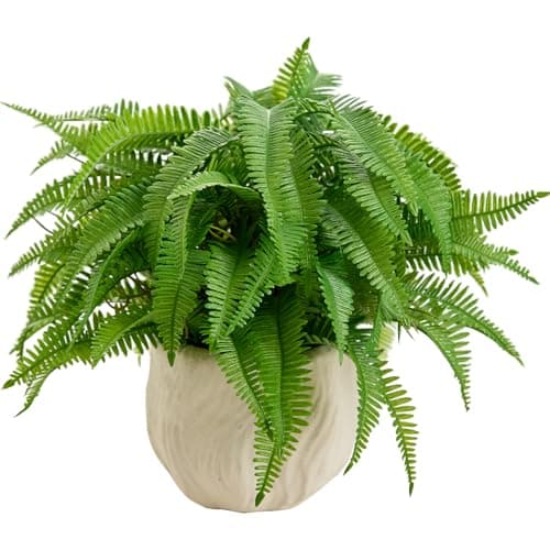 Arbolanta 9'' Faux Boston Fern Potted — Small Artificial Plant in White Boho Embossed Planter for Tabletop, Home, Office, Bathroom, Indoor & Sheltered Outdoor Decor - Image 1
