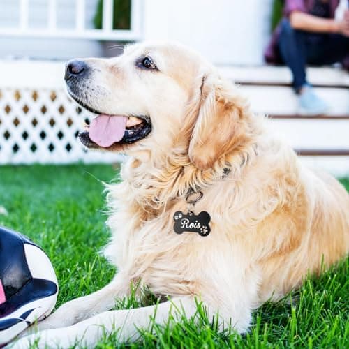 Dog Tags Personalized for Pets - YEHANTI Personalized Dog Tags with Lovely Icons, Durable Stainless Steel Pet ID Tags for Small Large Dogs Cats, Custom Dog Name Tags Engraved on Both Sides (Bone) - Thumbnail 6