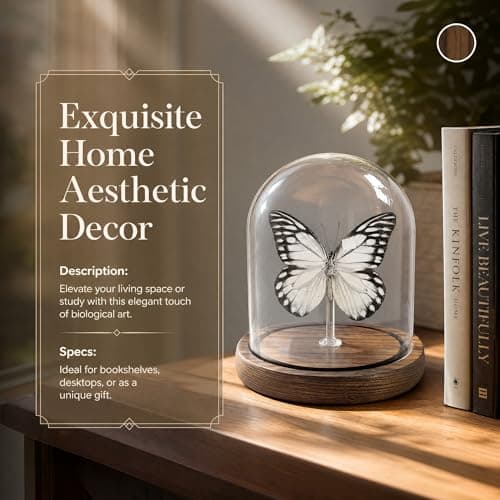 Wugakio Glass Taxidermy Butterfly Specimen Shadow Box, Butterfly Gifts for Women Girls with Glass Cover, Butterfly Decor for Bedroom Office Living Room Desk (Prioneris thestylis) - Thumbnail 6