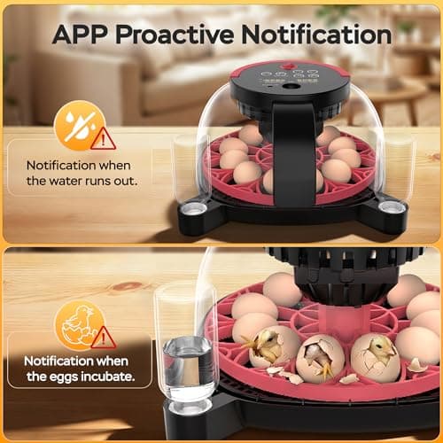 Caifunway Incubators for Hatching Eggs with Automatic Egg Turning and Humidity Control, with Remote APP Control, 12 Egg Capacity, for Chicken Duck Pigeon Quail (Red) - Thumbnail 6
