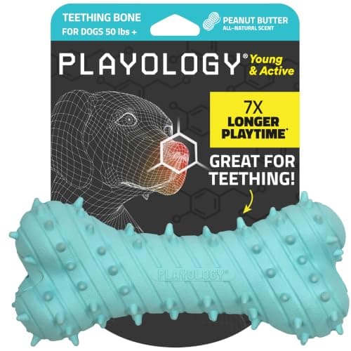 Playology Dog Toys | Puppy Toy Teething Bone Designed for Young & Active Dogs | Jumbo Peanut Butter Scented Toy Made from Non Toxic Materials - Image 1