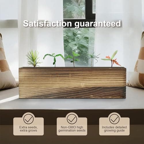 5 Pack Bonsai Tree Kit with Complete Tools, 5X Unique Seeds Bonzai Tree Kits, Indoor Bonsai Starter Kit with Wooden Box, Perfect Christmas Garden Gift for Mom, Men, Women, Plant Lover - Thumbnail 6