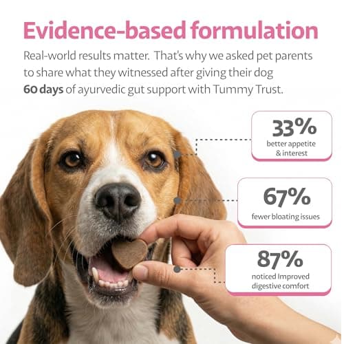 Ayourpets Dog Digestive Chews for Diarrhea, Loose Stool & Sensitive Stomachs – Herbal Gut Support with Ginger, Fennel & Turmeric – Pork Flavor – 90 Count - Thumbnail 2