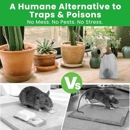 Plant-Based Mouse Repellent Pouches – Natural Rodent Deterrent with Essential Oils – Humane, Non-Toxic Mice Repellent Safe for Kids & Pets – Indoor & Outdoor Rodent Control (24) - Thumbnail 4