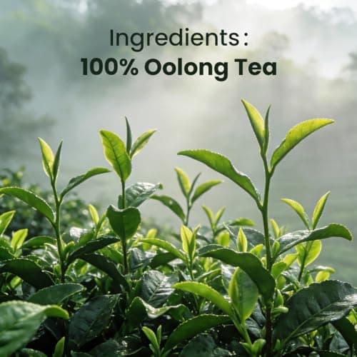 Chayan Oolong Tea Bags,Authentic Roasted Chinese Oolong, Fast Hot Brew or 8-Min Cold Brew, Calming Oolong Tea loose leaf Individually Wrapped Everyday Tea, 7 Count, 0.07 oz Each - Thumbnail 3
