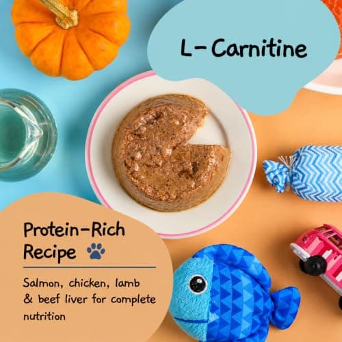 MOOCHIE Weight Control Grain Free Wet Cat Food — Salmon, Chicken, Lamb & Beef Liver - No Artificial Flavors or Preservatives - 12 × 3 oz cans - Thumbnail 5