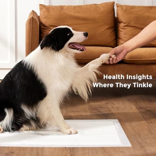 ZOMISIA Health Monitoring Puppy Pee Pad with Color Indicators, 22"x22" 5 Counts - 6-Parameter Urine Test, Disposable Dog Potty Training Pads , Odor-Control, Super Absorbent & Leak-Proof - Thumbnail 4