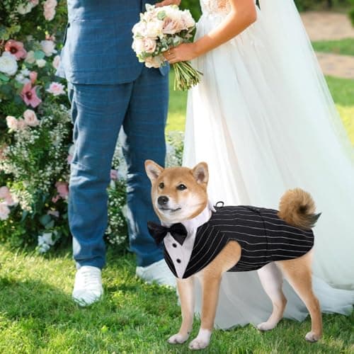 DORA BRIDAL Dog Tuxedo for Large Dogs, Dog Suit and Bowtie, Formal Dogs Wedding Outfit, Pet Tuxedo and Bandana Set Valentines Birthday Christmas Party Costumes for Labrador, Golden Retriever, Black,L - Thumbnail 6