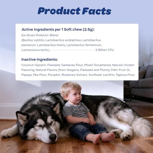 Xiderdl Dog Probiotic Soft Chews – 6-Strain Blend for Digestive & Immune Health – Supports Gut Balance, Reduces Gas, Tasty Daily Treat for Dogs-120 Count - Thumbnail 5
