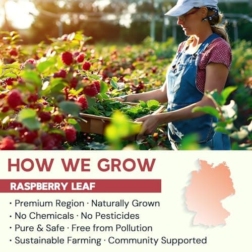 Raspberry Leaf Tea - 40 Teabags, Naturally Caffeine-Free, Mild & Herbal Taste - Thumbnail 3