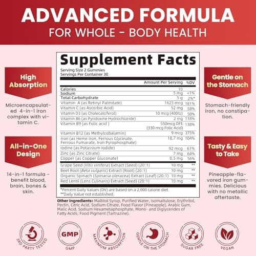 Iron Gummies for Women & Men, 4-Source Iron Supplement with Vitamin C, Folate, B12, B6 & Copper, Blood-Building & Energy Support, Gentle Iron Gummy Vitamins, Vegan Pineapple Flavor, 120 Count - Thumbnail 5