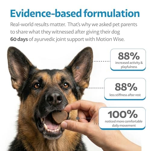 Ayourpets Hip and Joint Supplement for Dogs with Stiff Joints, Arthritis & Mobility – Natural Boswellia, Ashwagandha & Turmeric Herbal Holistic Support – Pork Flavor – 90 Count - Thumbnail 2